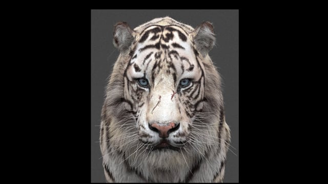 White Tiger Hair Workflow